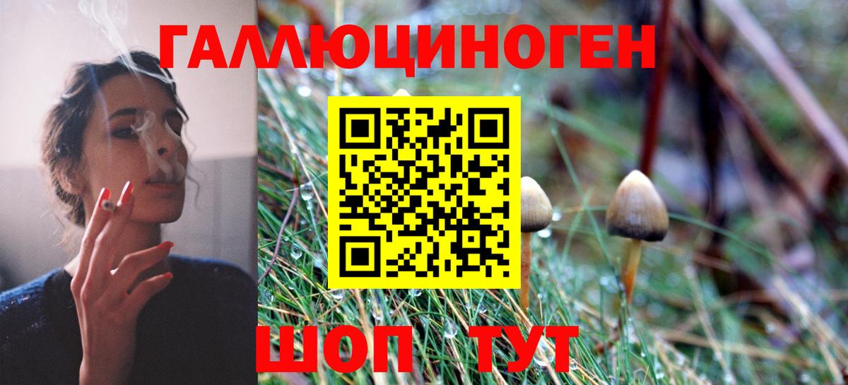 Галлюциногенные грибы прущие грибы Саранск